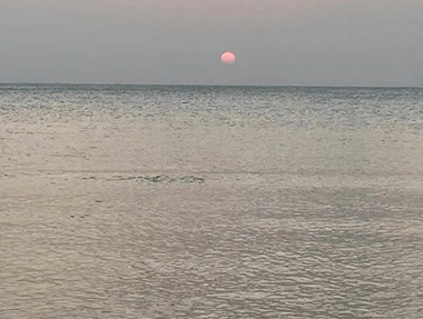 【椰树婆娑 流水潺潺】 海南某污水处理厂项目调试优化进行中