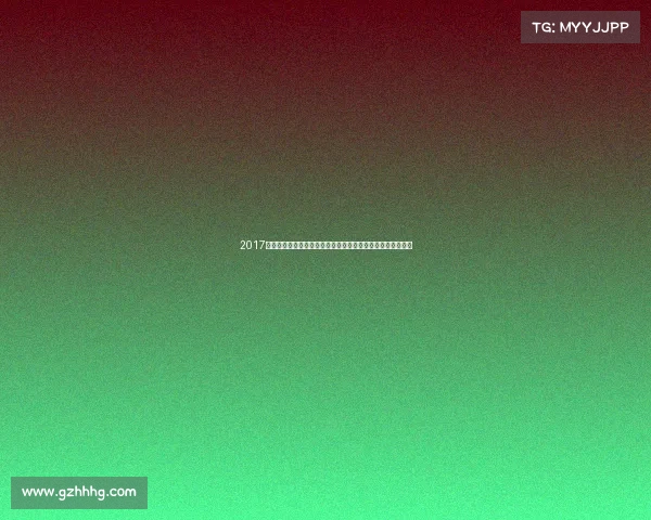 2017年金港赛车场年度赛事激情开赛，见证速度与勇气的辉煌时刻